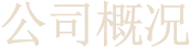 公司简介